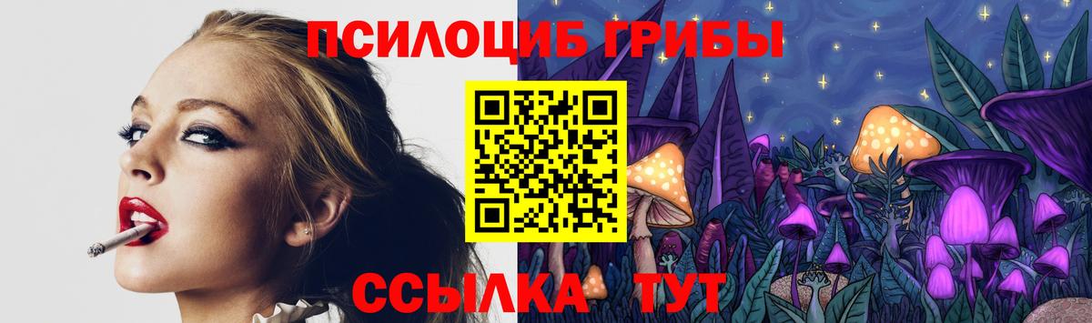 Галлюциногенные грибы GOLDEN TEACHER Ногинск