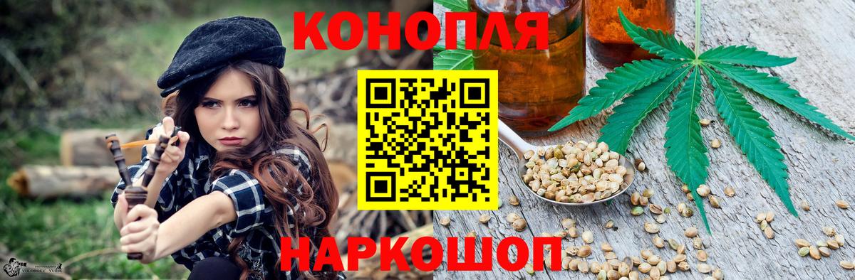 Бошки марихуана план Ногинск